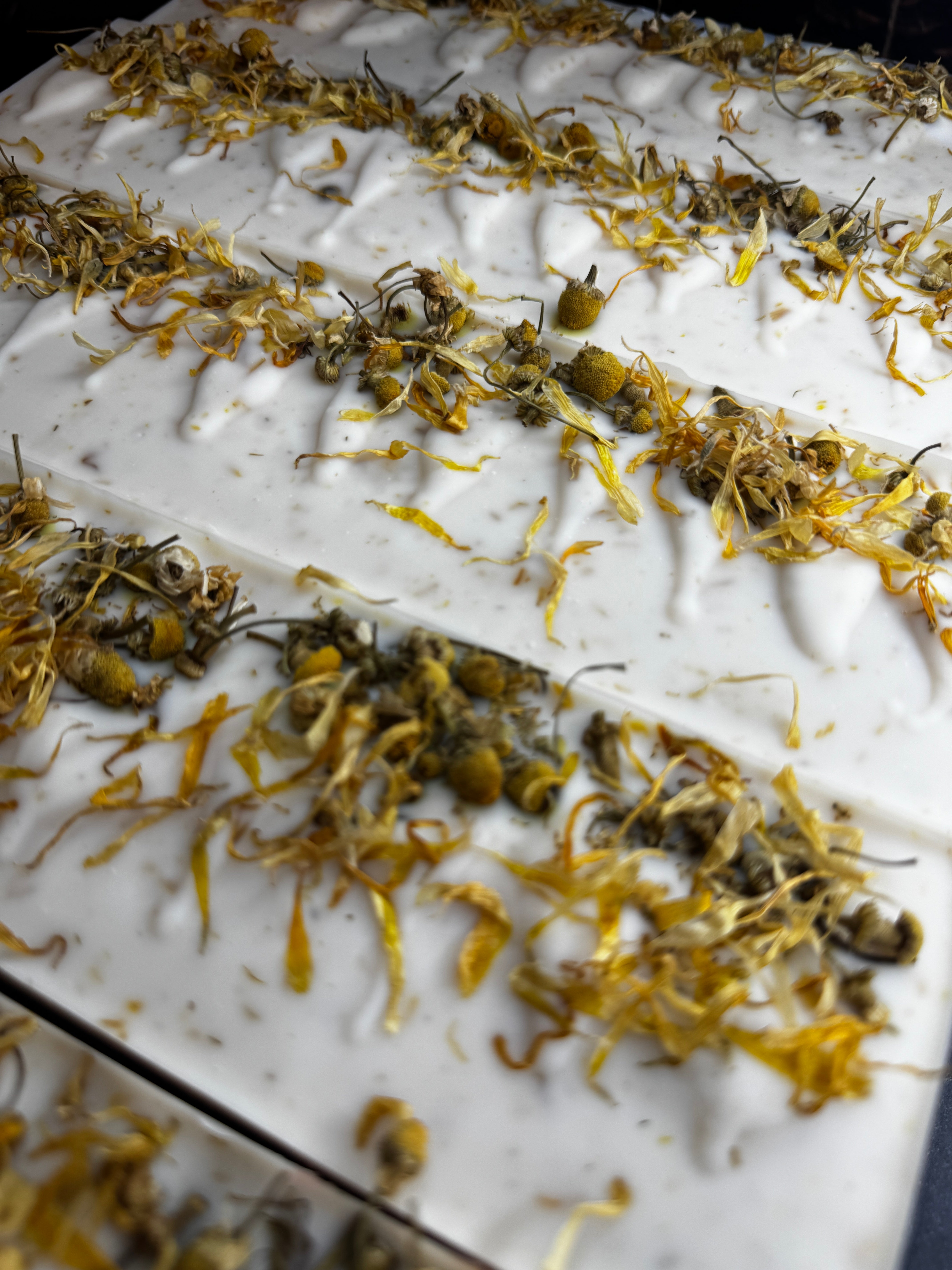 Chamomile & Calendula